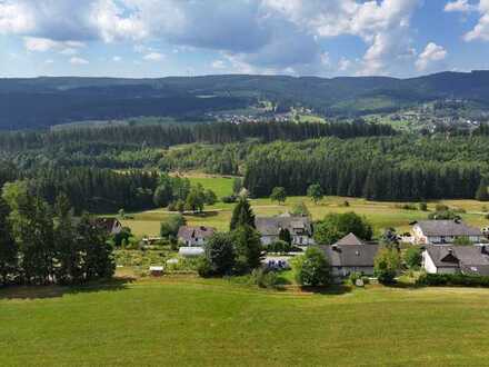 Feldbergblick - Bauland in bester Schwarzwaldhöhenlage - Sofortverkauf !