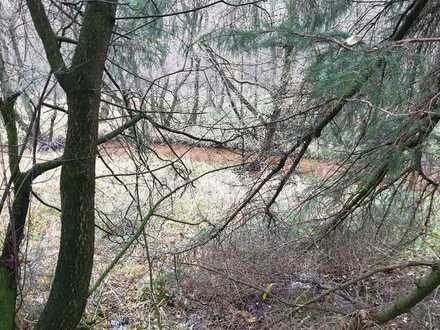 6 ha Wald + Biotop am Urstromtal in Meyn