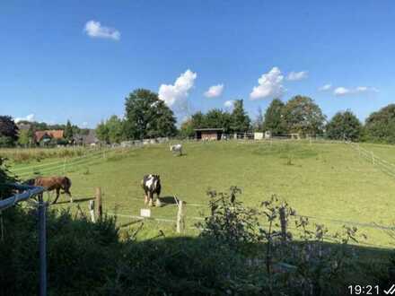 Günstige, vollständig renovierte 2-Zimmer-Wohn. mit Balkon in Ahrensbök