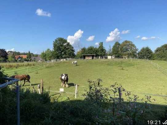 Reserviert!! Günstige, vollständig renovierte 2-Zimmer-Wohn. mit Balkon in Ahrensbök