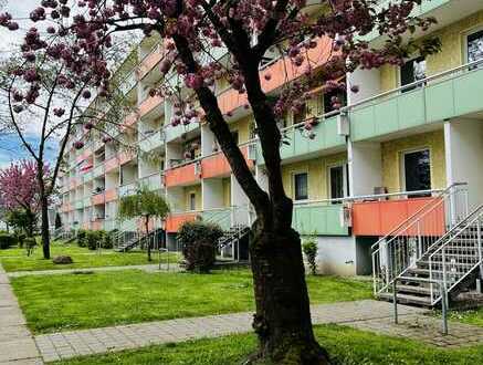 Gemütliche 2-Raumwohnung mit Balkon