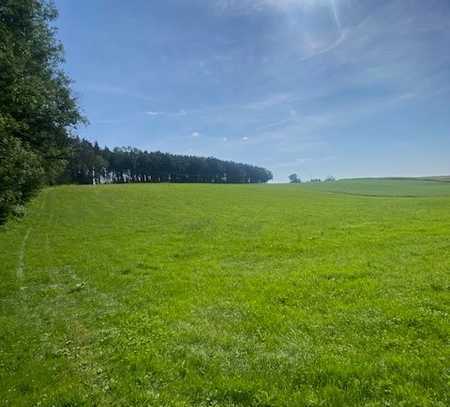 INTERESSANTE LANDWIRTSCHAFTS-/GRÜNFLÄCHE BEI KEMODEN / GEMEINDE 84186 VILSHEIM