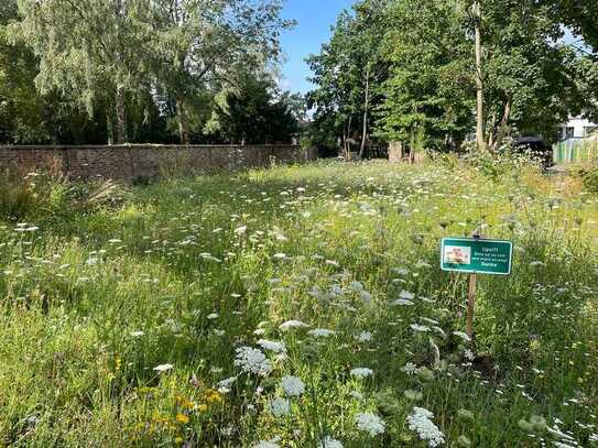 Baugrundstück in ruhiger, grüner Lage im Herzen von Frankfurt-Bonames