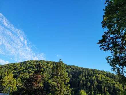 Bestpreisgarantie bei Bien-Zenker - Ihr Traumhaus in der Natur
