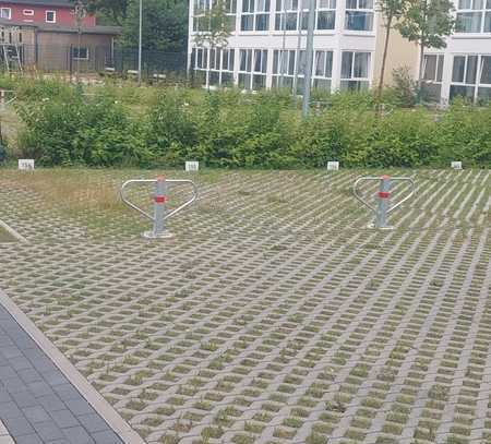 Stellplätze zu vermieten im Waldquartier Bernau