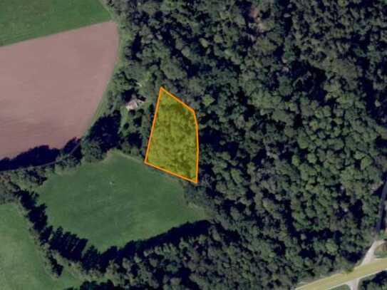 Waldgrundstück vielfältigem Baumbestand