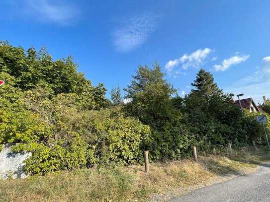 Baugrundstück in zentraler Lage Oranienburgs