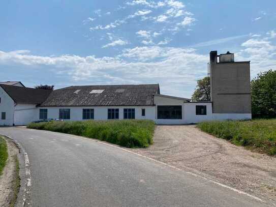 Lagerhalle zur Miete in Biedesheim