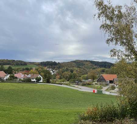 Herrliche Aussicht: 1 Zimmer/Bad/Küchenmitbenutzung in Weinheim - Oberflockenbach