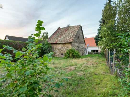 Bereits für Sie projektiert: Abrisshaus mit riesigem Grundstück zum Kauf in Nieder-Ingelheim