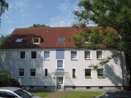 Renovierte Wohnung sucht nette Mieter!
