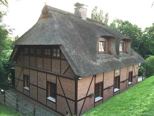 Landliebe - Saniertes Reetdachhaus auf der Elbinsel Hamburg -Wilhelmsburg