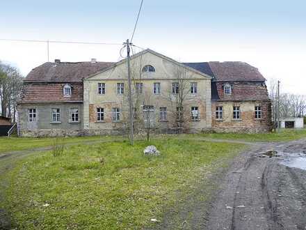 Sanierungsobjekt, ehemaliges Gutshaus