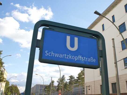 GEWERBE ODER WOHNEN - Exklusive 4,5-Zimmer in Berlin-Mitte – luxuriös, repräsentativ,