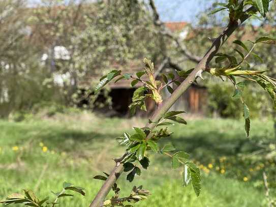 Großes Baugrundstück in Nürtingen Zentrum