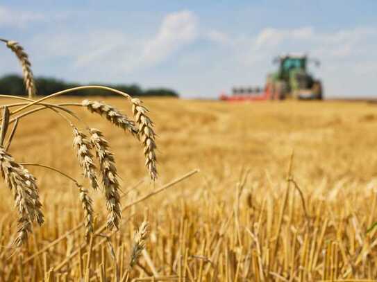 Landwirtschaftliche Fläche bietet ideale Bedingungen für Ertrag und Wachstum