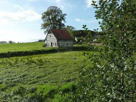 +++RESERVIERT+++ Fachwerkhaus - wunderschöne Lage - Fachwerktraum - Einfamilienhaus