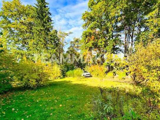 IDYLLISCHE WALDRANDLAGE: Sanierungsbedürftiger Bungalow sucht kreative Hand.