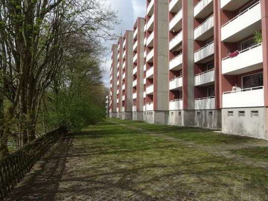 1-Zimmer-Wohnung in Hamburg Borgfelde