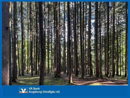 HOLZ MACHT 2 x WARM!!!
Waldgrundstücke in der Nähe von Tannheim bei Memmingen
