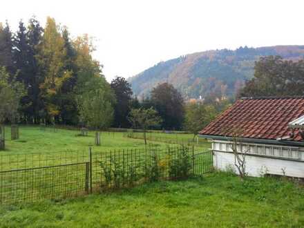 5.141 m² Grundstück - aufgeteilt in Baugrundstück und Grünfläche