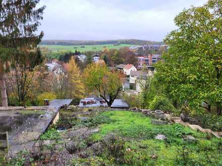 Einfamilienhaus und Atelier (3 Wohnungen) auf großem Grundstück mit genialem Ausblick und Neubauopt.