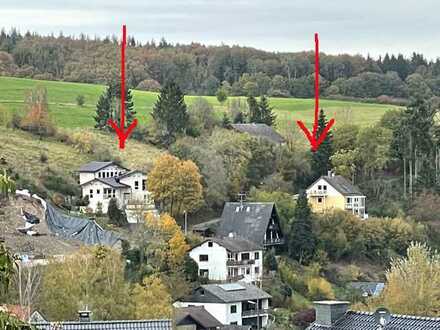 XXL - Baugrundstück für wohn- und landwirtschaftliche Nutzung mit Panoramablick in Schönau