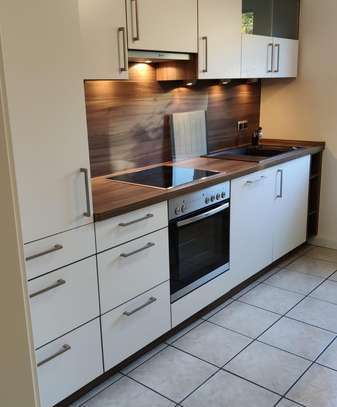 Wunderschöne frisch renovierte & lichtdurchflutete 2 ZKB-Wohnung ab 15.01.2025 in Mannheim Neckarau