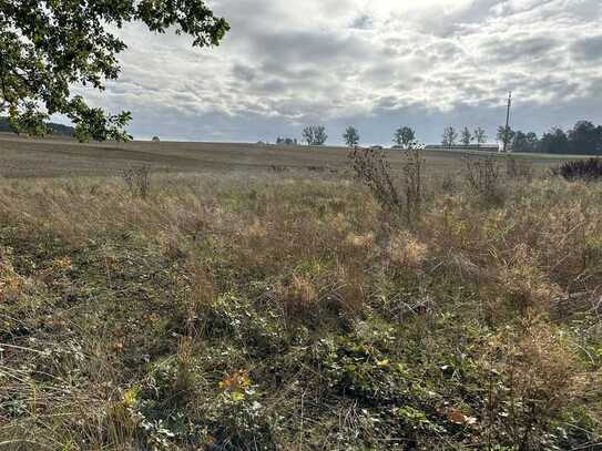 Baugrundstück in Stadtrandlage mit unverbaubaren Blick!