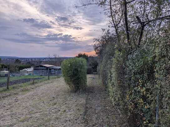 Großes Gartengrundstück (kein Bauland) in Wiesbaden Schierstein