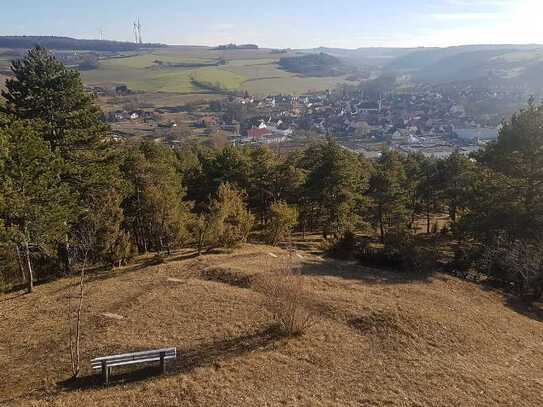 Für Individualisten - modernes EFH mit luxuriöser Innenausstattung in wunderschöner Naturlage