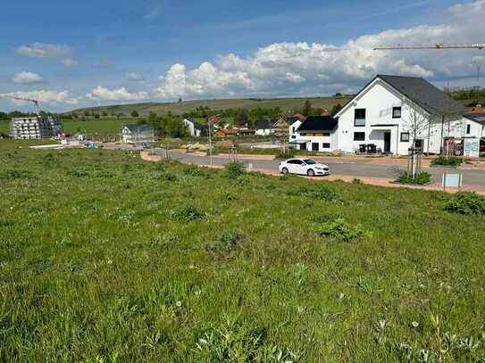 Traumhaftes Baugrundstück mit direkter Feldrandlage im Neubaugebiet mit Blick über Mommenheim