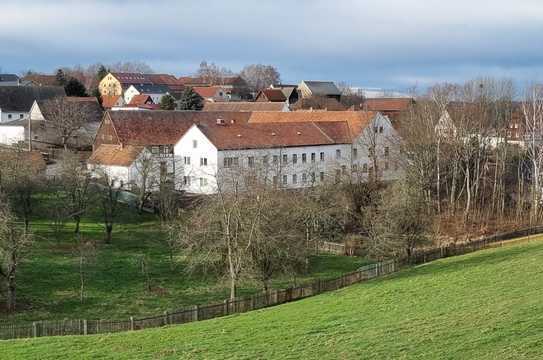 Ruhige Dreizimmerwohnung im Grünen.