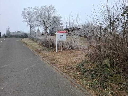 Grundstück mit unverbaubarem Panoramablick in Geisenheim-Stephanshausen!