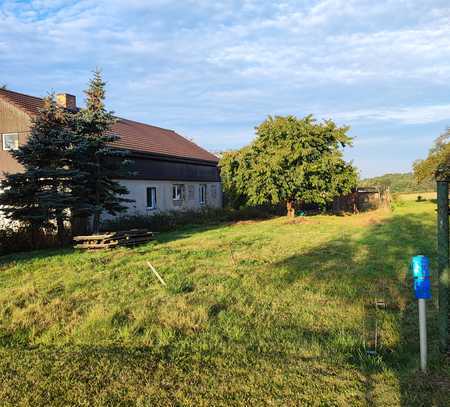 Einfamilienhaus mit 3250 qm Grundstück