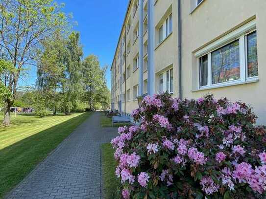 3 Zimmer, Balkon im EG- Kapitalanlage in der Kurstadt Bad Lausick