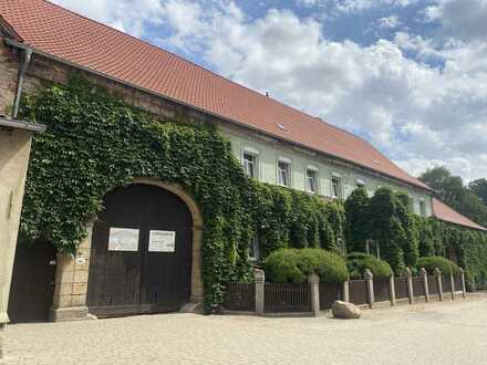 Geräumige, preiswerte und vollständig renovierte 2-Zimmer-Wohnung in Ausleben