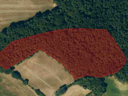 Großzügige Waldfläche in Oberweilenbach!