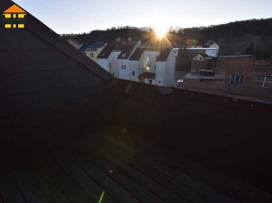 *Großzügige 1-Raum-Wohnung mit Dachterrasse im schönen Weida zur Miete!*