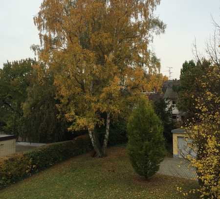 Helle 3 Zi.Wohnung mit Balkon seitlich Biebricher Allee