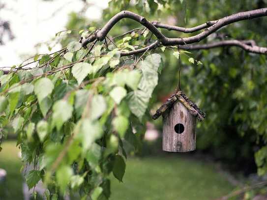 Im grünen Leben mit riesigem Garten!