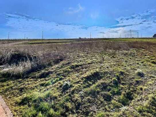 Traum-Grundstücke mit Blick über Bad Kreuznach!