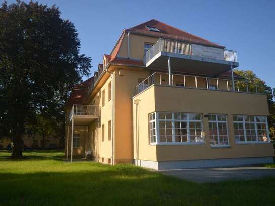 Schloßpark Pirna - sonnige 3 Zimmer mit Terrasse