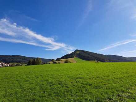 2 landwirtschafliche Flächen/Grünland in Baiersbronn in sonniger Lage