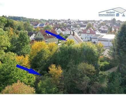 Schnäppchenangebot: Renovierungsbedürftiges Anwesen mit Waldgrundstück zwischen Ulm und Memmingen
