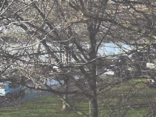 Wohnung mit Rheinblick