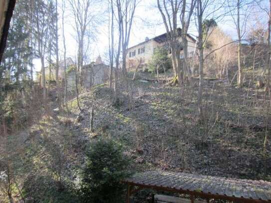 3-Zimmerwohnung mit Balkon am Fuße des Birkenbergs