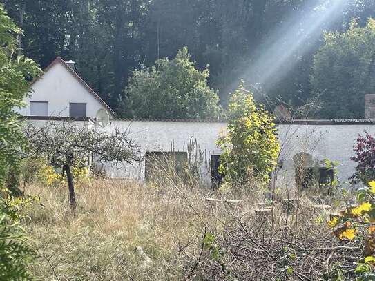 Tag d offenen Tür jeden Samstag 14 Uhr: Handwerkerobjekt im schönen Bergfelde zu vermieten