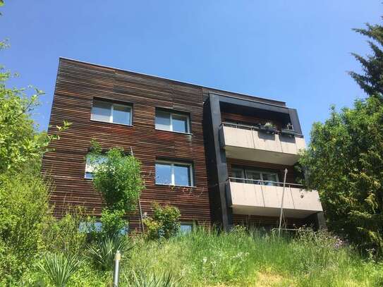 Architektenhaus, Stadtrand WÜ im Grünen, Süd/Westlage, ruhig, hell 4 Zi. - Wohnung, Balkon