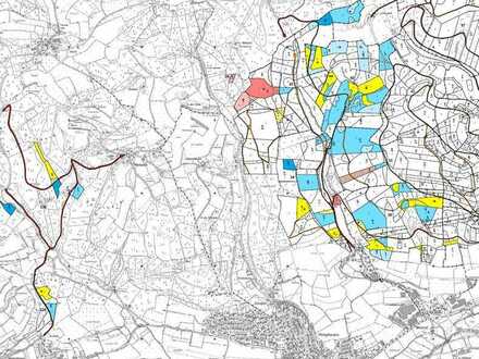VR IMMO: Forst - Waldfläche - Ackerland - Landwirtschaftliche Fläche - Als Teil- oder Gesamtpaket!